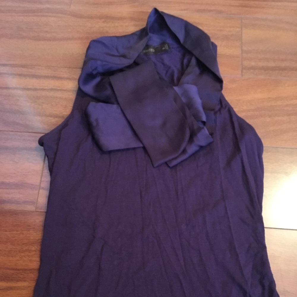 The Limited Blue Sleeveless Top